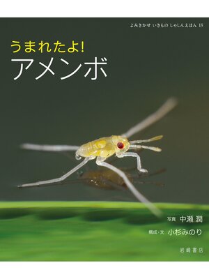 cover image of うまれたよ!アメンボ
